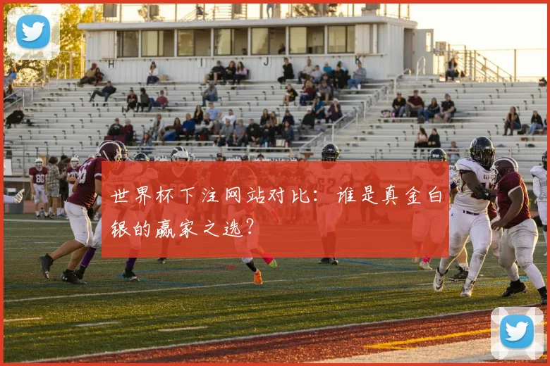 世界杯下注网站对比：谁是真金白银的赢家之选？