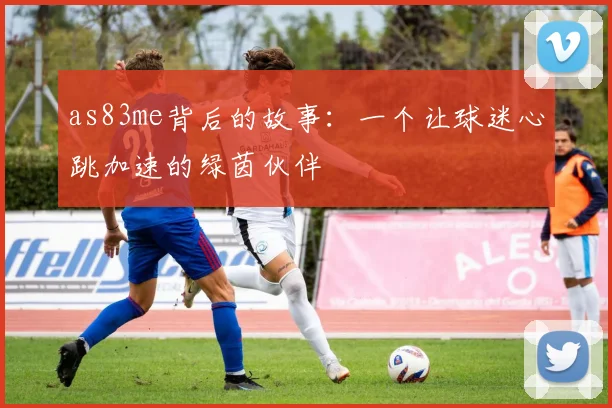 as83me背后的故事：一个让球迷心跳加速的绿茵伙伴