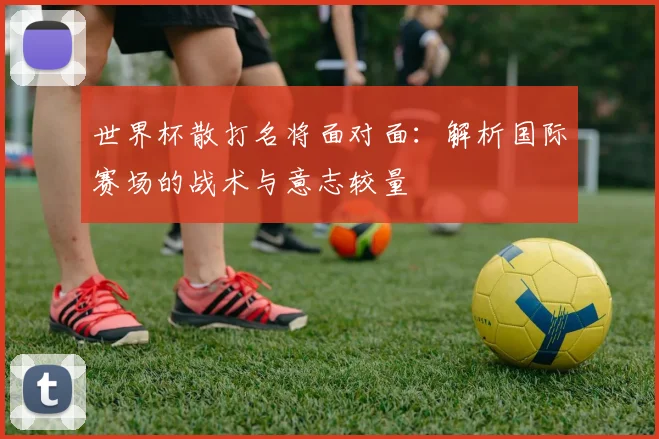 世界杯散打名将面对面：解析国际赛场的战术与意志较量
