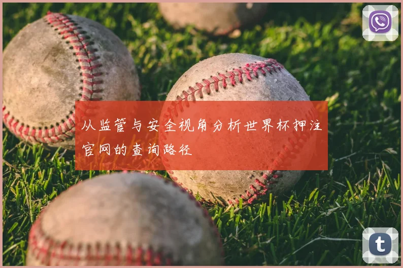 从监管与安全视角分析世界杯押注官网的查询路径