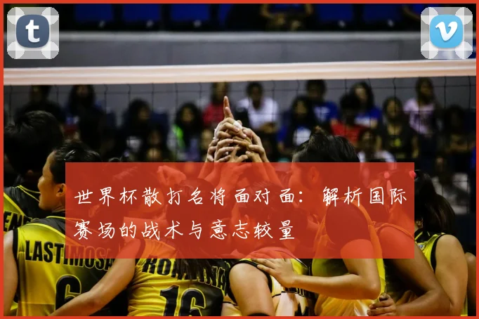 世界杯散打名将面对面：解析国际赛场的战术与意志较量