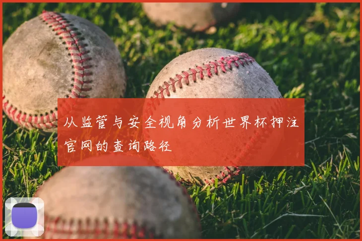 从监管与安全视角分析世界杯押注官网的查询路径