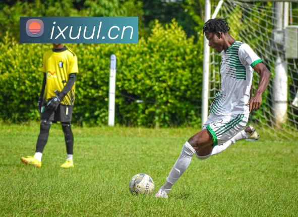 App Interface Preview